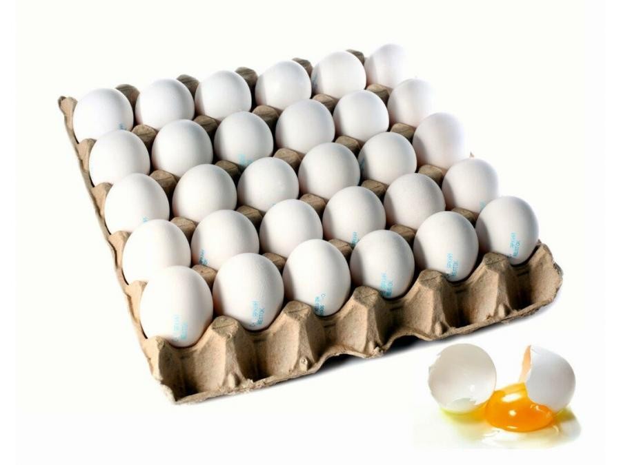 Яйца купить нижний новгород. Птицефабрика Сеймовская яйца. Яйцо столовое. Яйцо столовое 1 категории. Яйцо пищевое столовое.